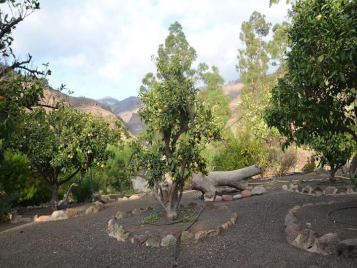 Mogán Casa Colonia 아파트 외부 사진