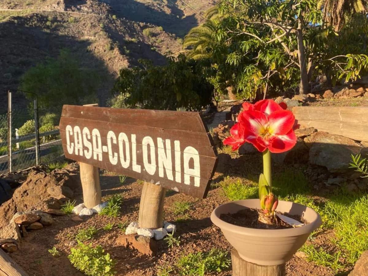 Mogán Casa Colonia 아파트 외부 사진